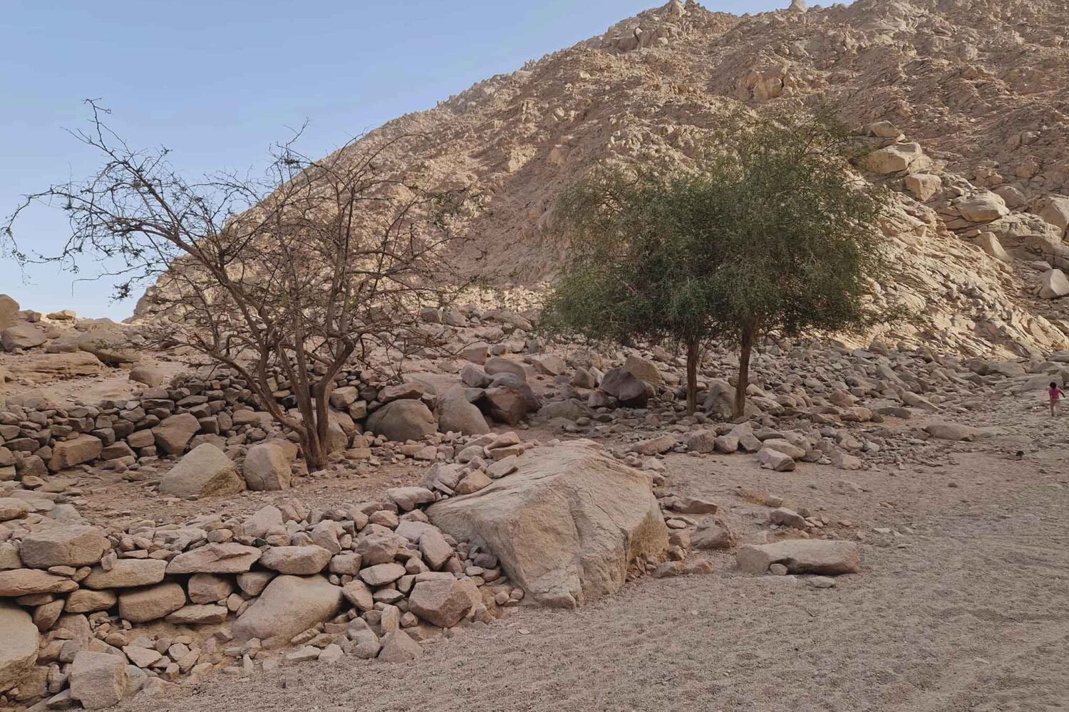 Private Quad Tour zur Oase & Sonnenuntergang