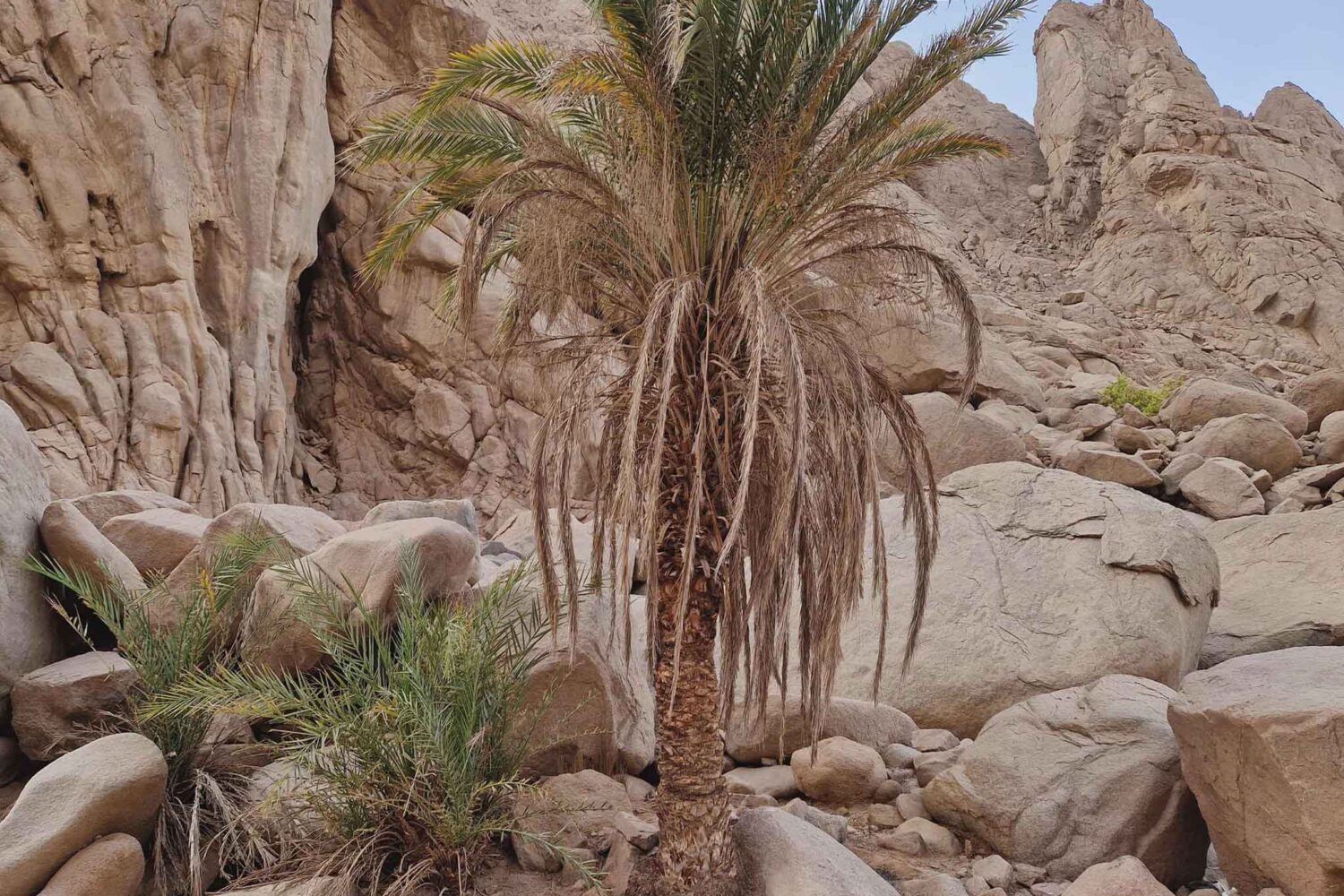 Private Quad Tour zur Oase & Sonnenuntergang