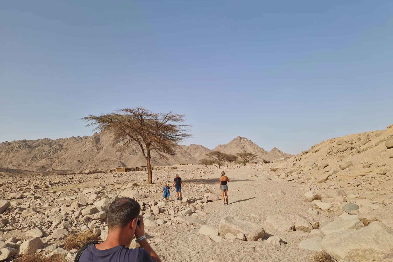 Private Quad Tour zur Oase & Sonnenuntergang