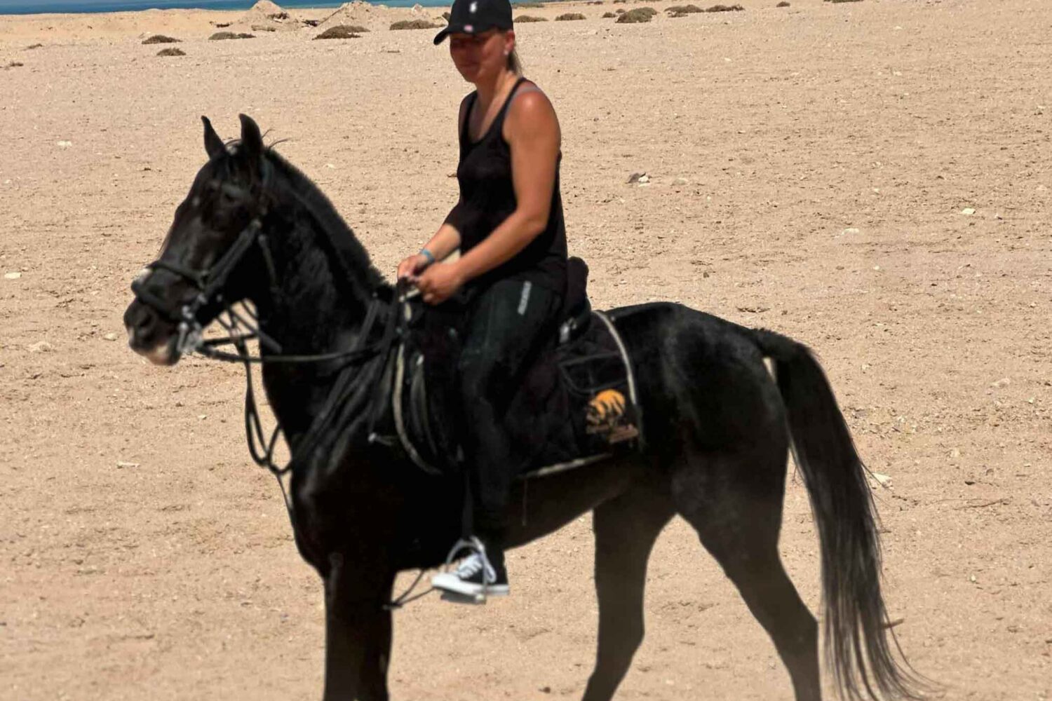 3-Stündiger Reitausflug durch Wüste & Strand mit optionalem Schwimmen mit Pferden