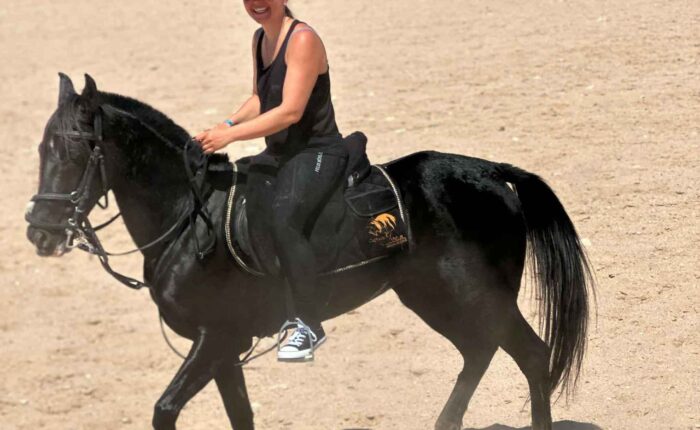 2-Stündiger privater Reitausflug oder Kamelritt durch Wüste & Strand in Hurghada