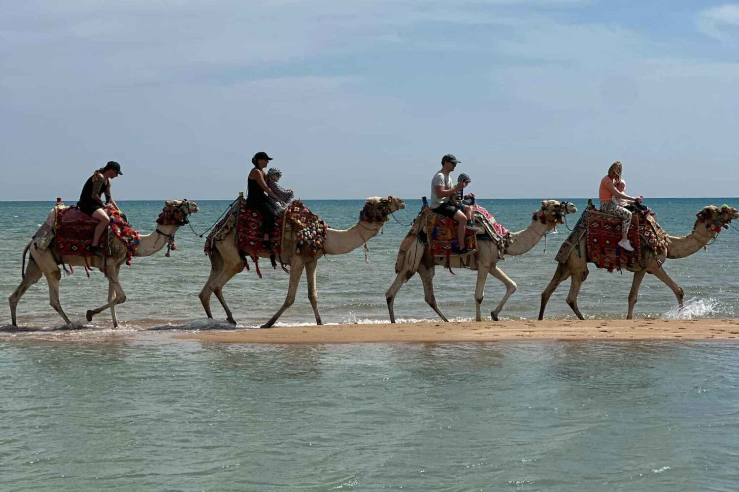 3-Stündiger Reitausflug durch Wüste & Strand mit optionalem Schwimmen mit Pferden