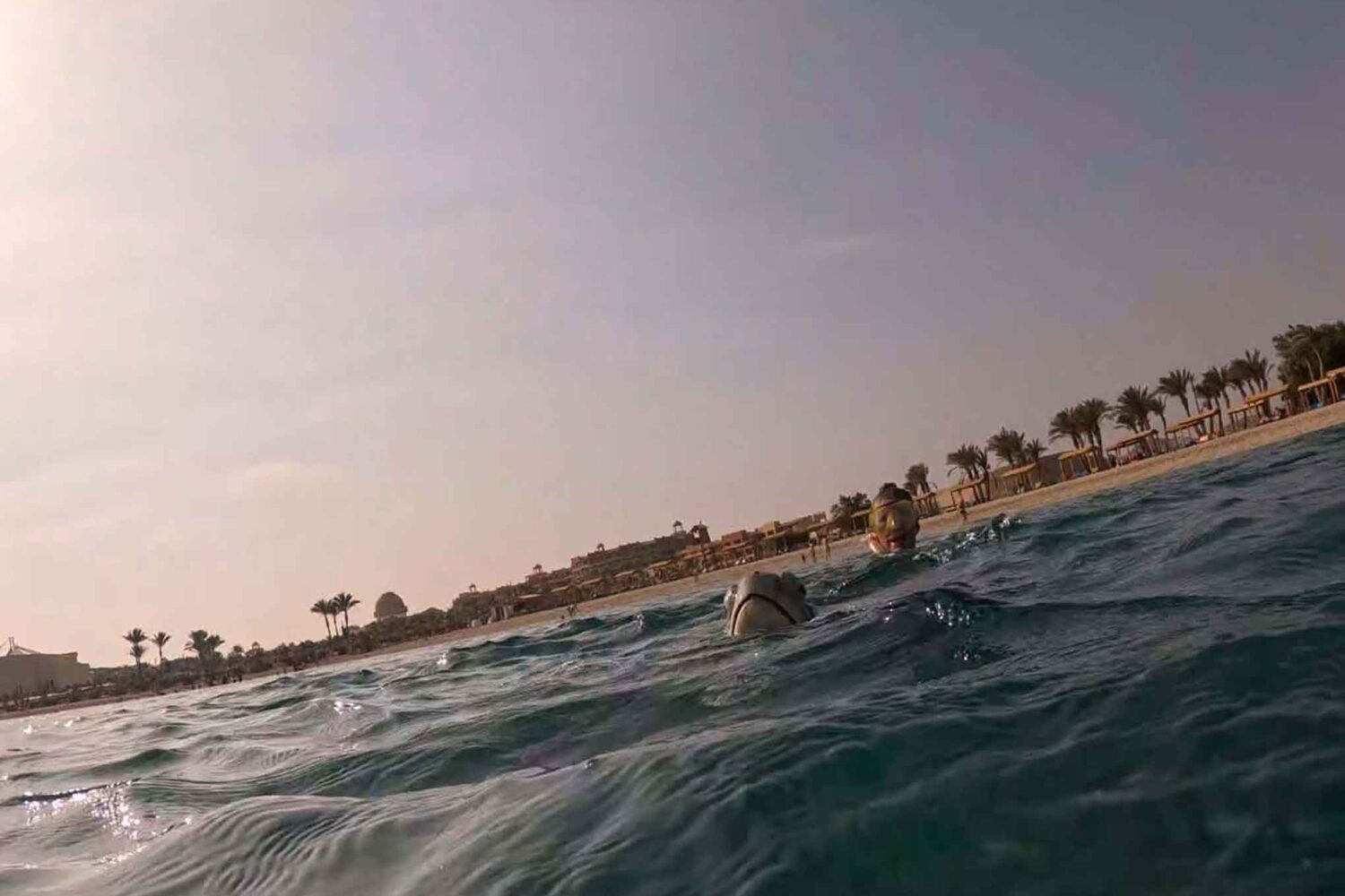 Abu Dabab Schildkröten Tour – Schnorcheln mit Meeresschildkröten (Kleine deutsche Gruppe)