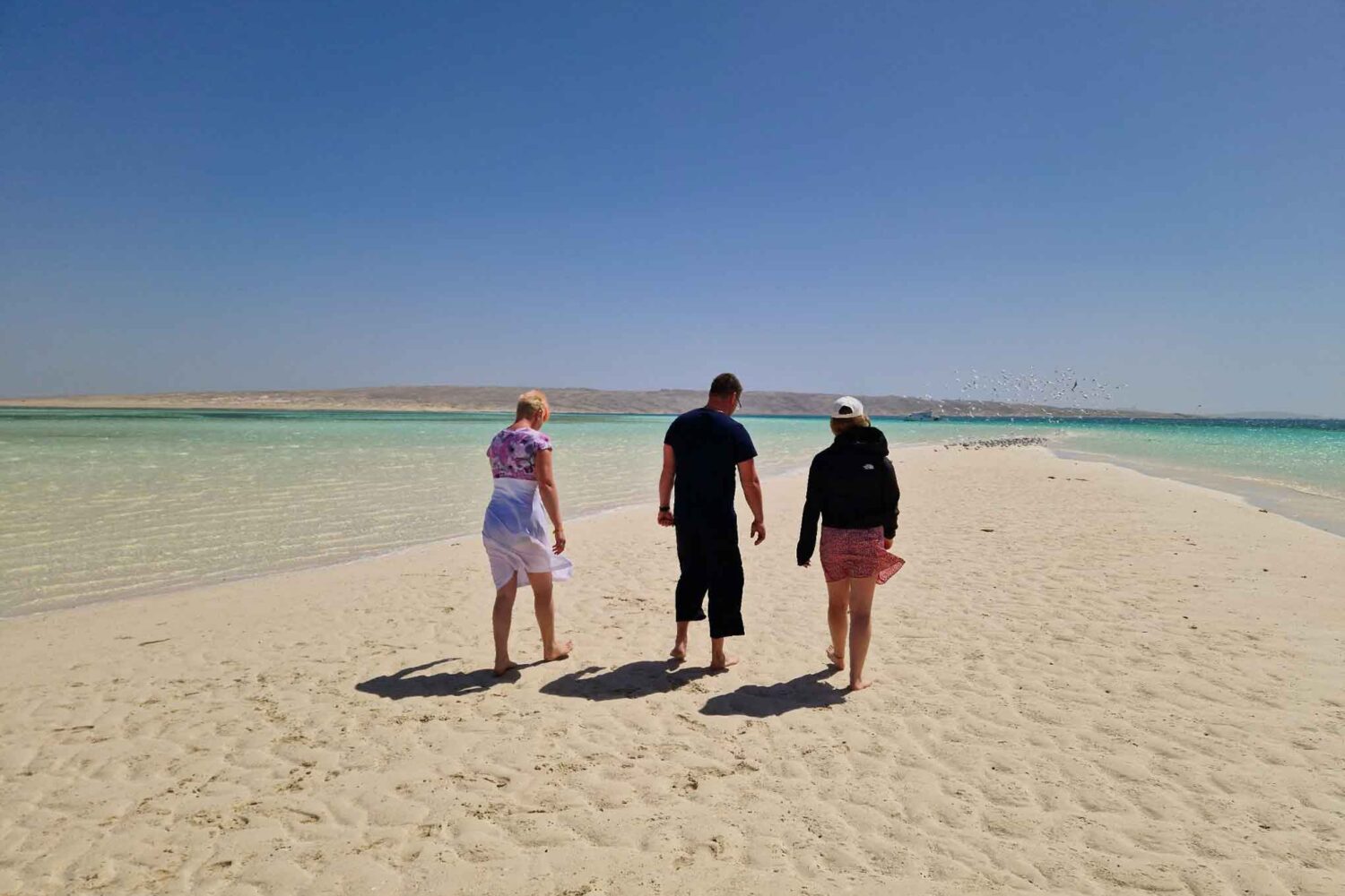 Private Karibik-Tour zur Malediven-Insel mit Glasboot – Exklusiver 4-Stunden-Ausflug ab Hurghada