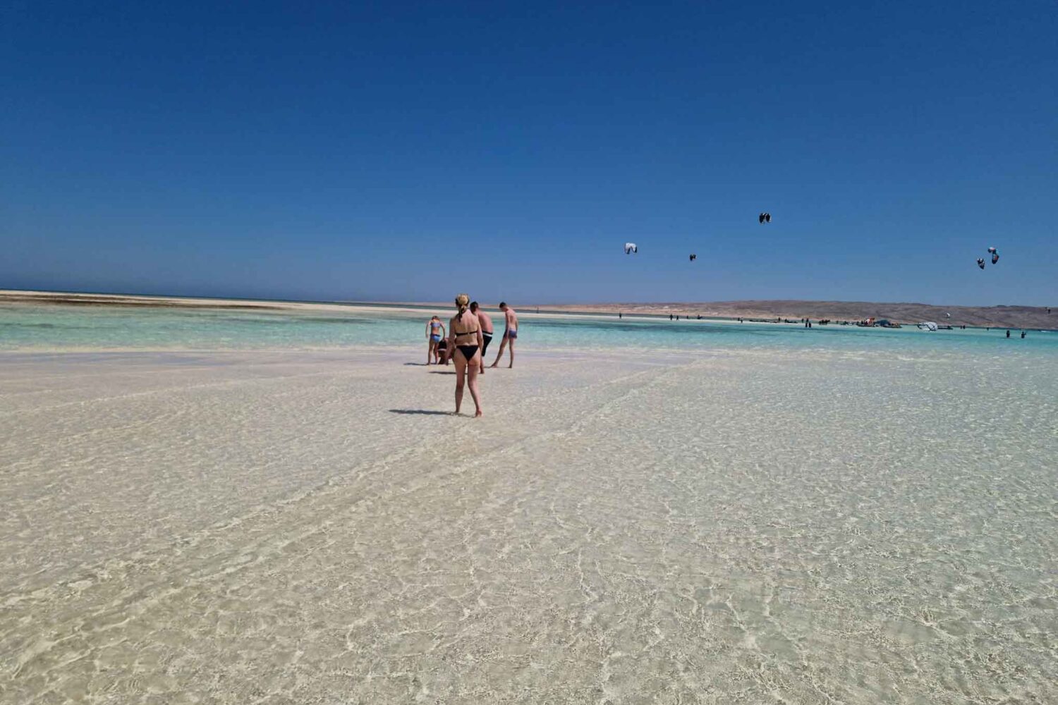 Private Karibik-Tour zur Malediven-Insel mit Glasboot – Exklusiver 4-Stunden-Ausflug ab Hurghada