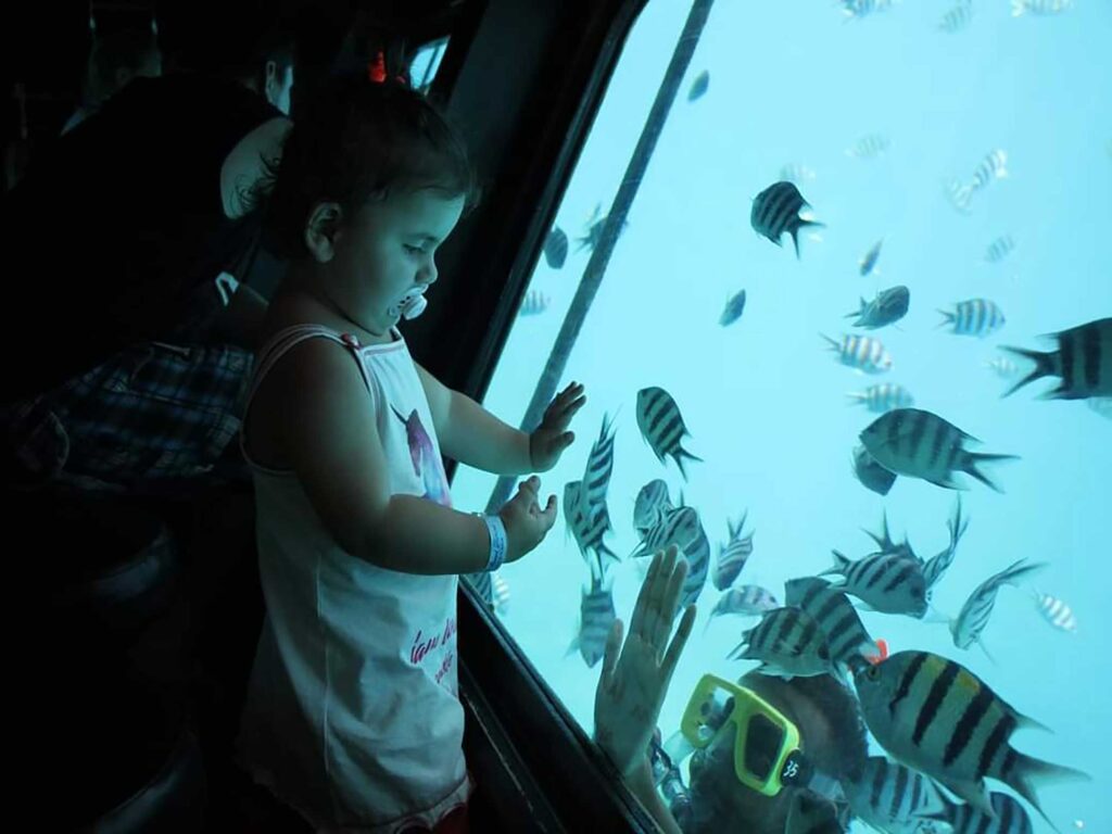 SEASCOOP Glasboot & Halb-U-Boot Tour Korallenwelt ohne Nasswerden