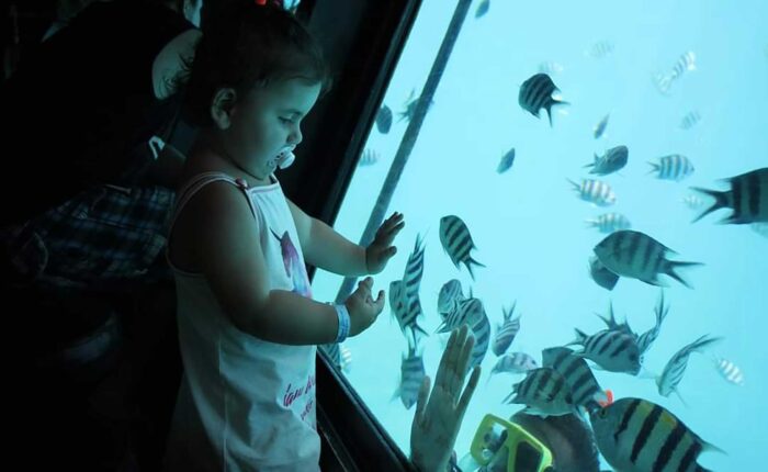 SEASCOOP Glasboot & Halb-U-Boot Tour Korallenwelt ohne Nasswerden