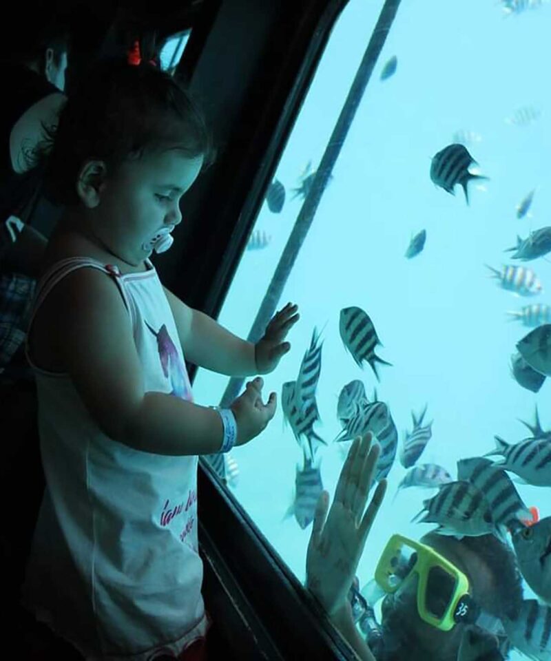 SEASCOOP Glasboot & Halb-U-Boot Tour Korallenwelt ohne Nasswerden